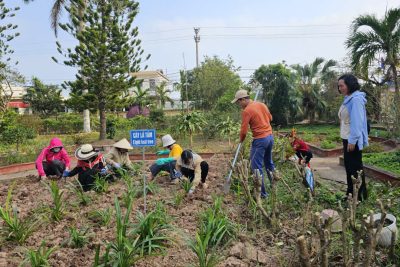 LAN TỎA TINH THẦN “TẾT TRỒNG CÂY” TẠI TRƯỜNG TIỂU HỌC HẢI LỘC